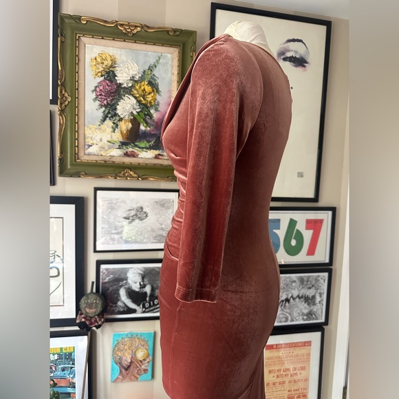 Deadly Dames Film Noir Dress in Rusty Rose Velvet NWT - Picture 8 of 15